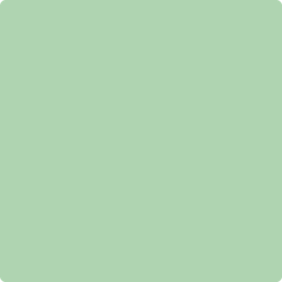 Benjamin Moore Colour 2034-50 Acadia Green wet, dry colour sample.