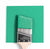Benjamin Moore Colour 2036-40 Meadowlands Green wet, dry colour sample.