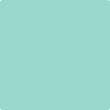 2041-50 Sea Mist Green