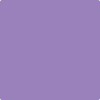 2071-40 Crocus Petal Purple