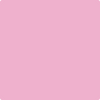 2078-50 Pink Begonia