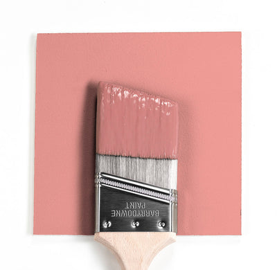 2090-50 Tender Pink Brush Mock Up