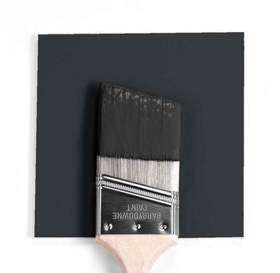 2120-20 Black Iron Paint Brush Mock Up