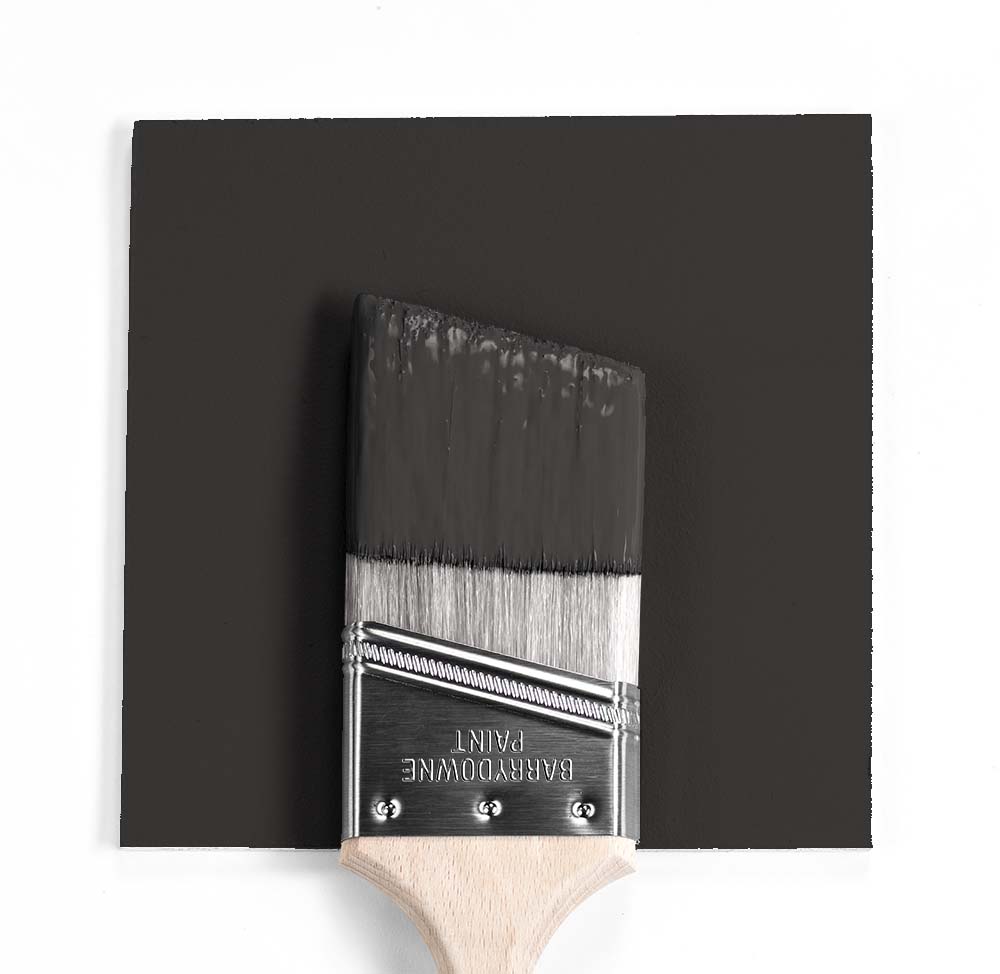 2128-10 Black Beauty Wet & Dry Colour Sample