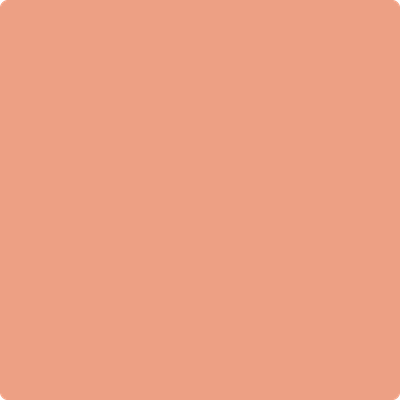 2170-40 Coral Spice Brush Mock Up