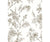 Jessamine Taupe Floral Trail Wallpaper available at Barrydowne Paint