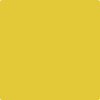 357 Yellow Hibiscus