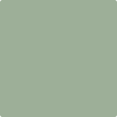 452 Norway Spruce