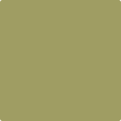 531 Ponderosa Pine
