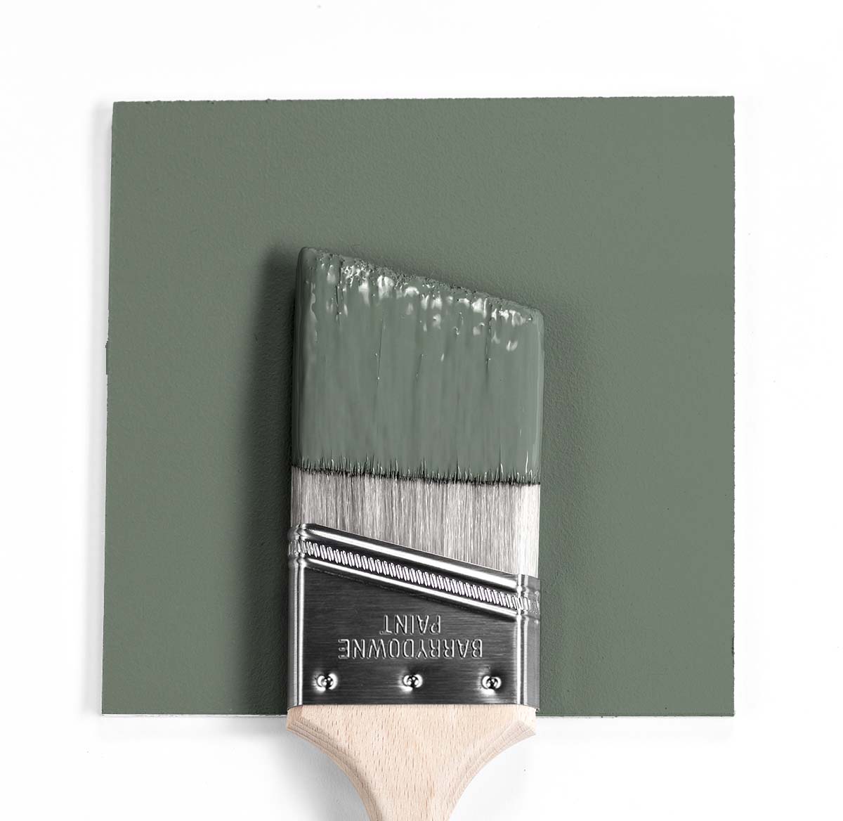 AF-475 Lush Mock Up Brush