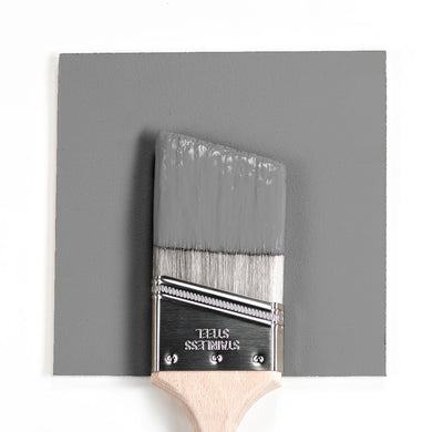 CSP-20 Wall Street Benjamin Moore Paint Brush Mock Up