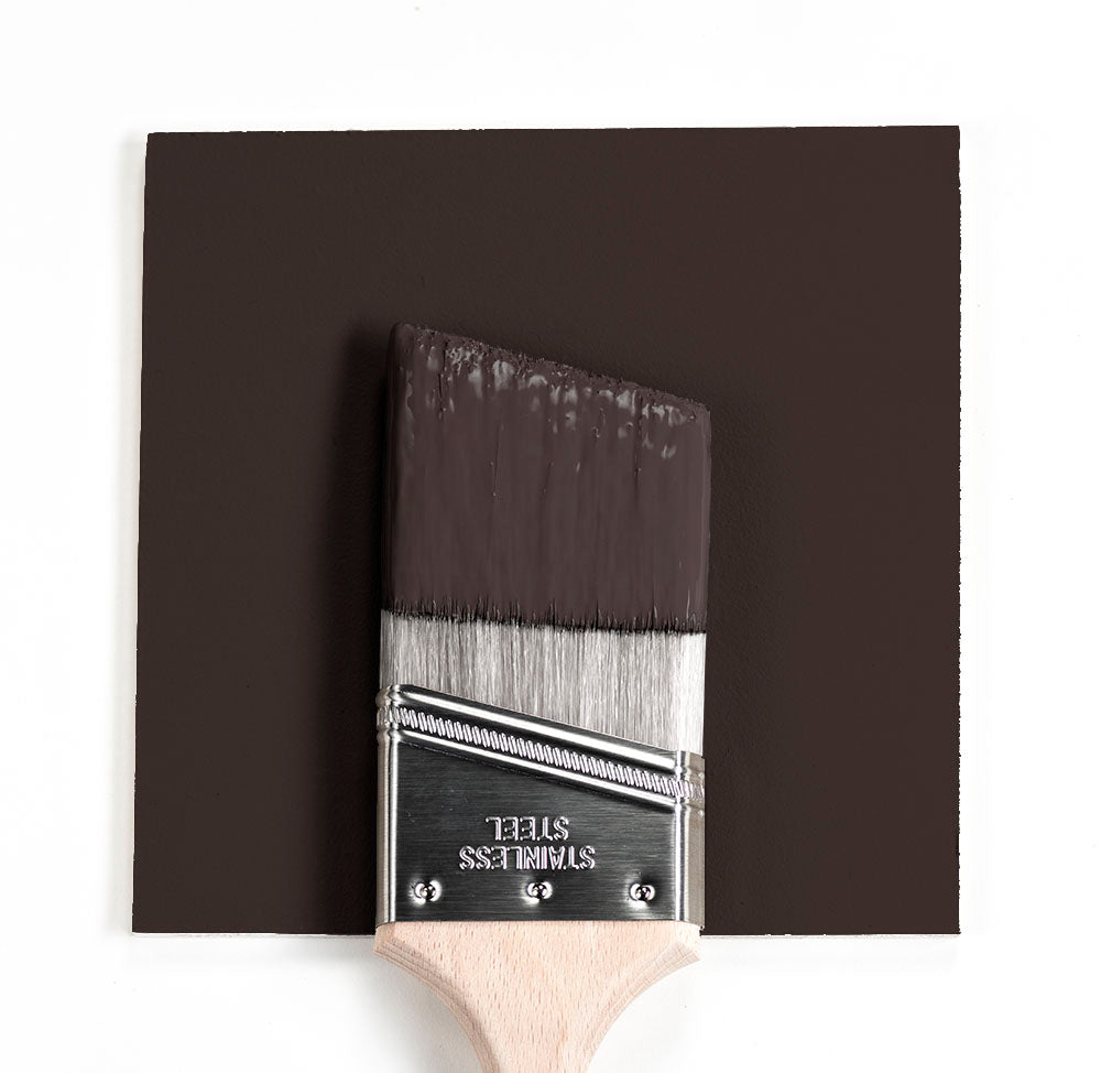 CSP-30 Espresso Bean Benjamin Moore Paint Brush Mock Up