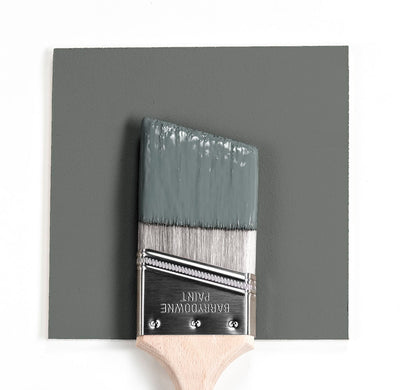 CSP-55 Gray Gardens Paint Brush Mock Up