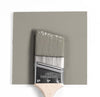 Benjamin Moore Colour HC-105 Rockport Gray wet, dry colour sample.