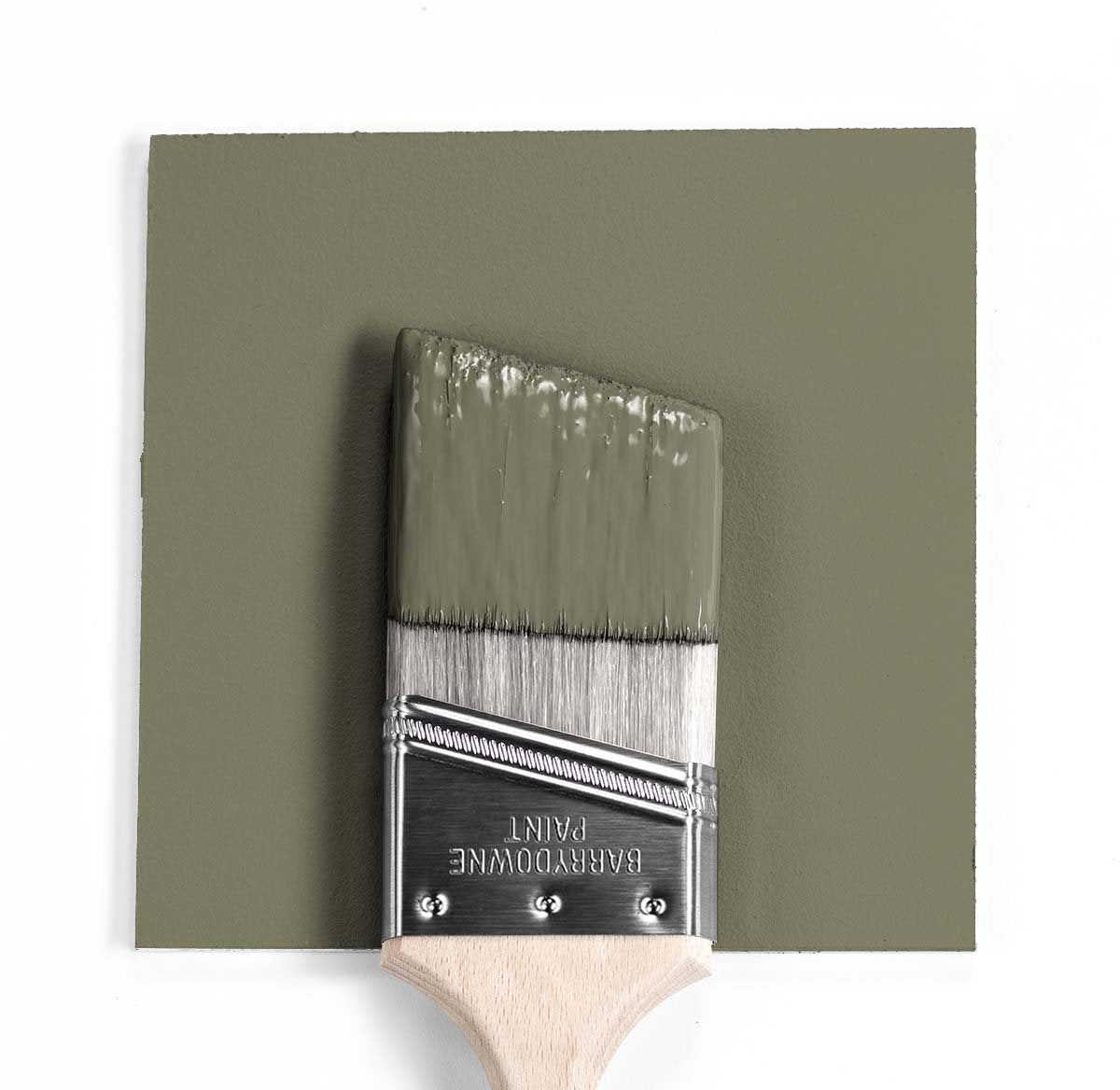 Benjamin Moore Colour HC-112 Tate Olive wet, dry colour sample.