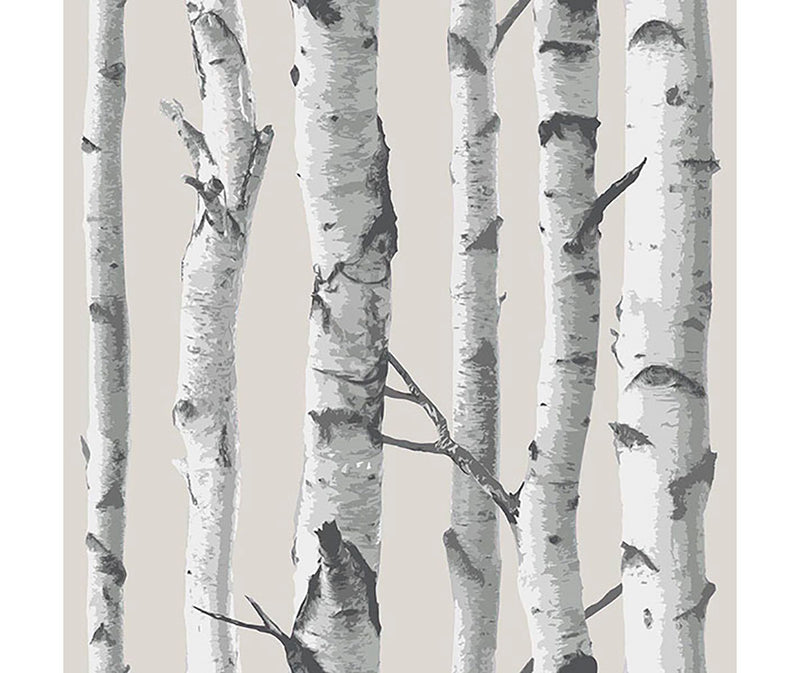 Birch Tree Peel & Stick Paper