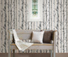 Birch tree wallpaper from peel & stick NuWallpaper available at Barrydowne Paint..