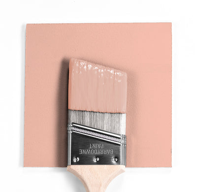 Benjamin Moore Colour CC-156 Tofino Sunset wet, dry colour sample.