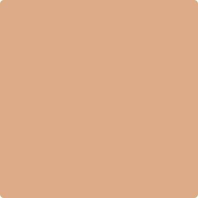Benjamin Moore Colour CC-186 Indian Summer wet, dry colour sample.