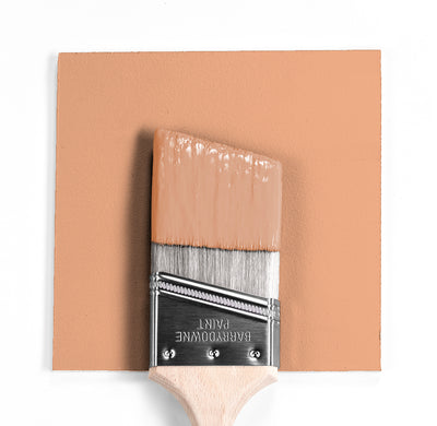 Benjamin Moore Colour CC-186 Indian Summer wet, dry colour sample.