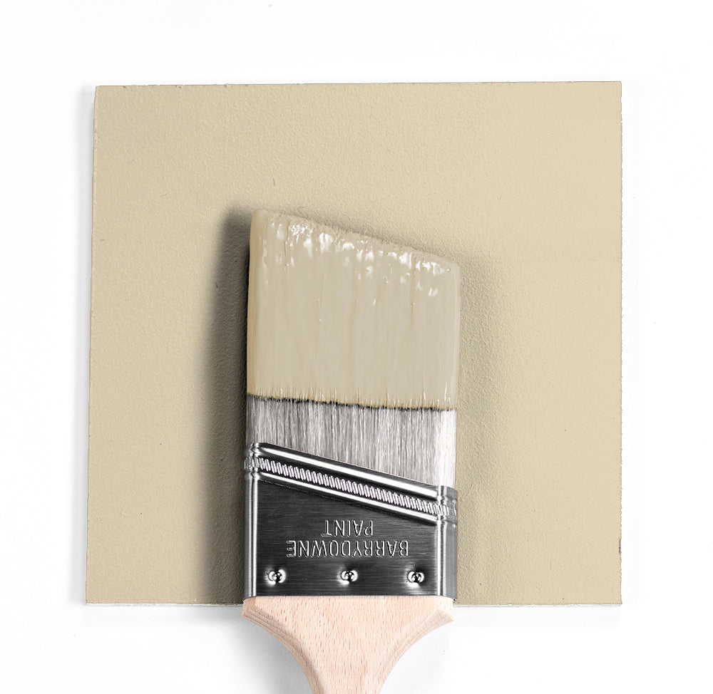 Benjamin Moore Colour CC-230 Delaware Putty wet, dry colour sample.