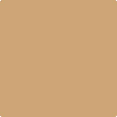 Benjamin Moore Colour CC-274 Ginger Root wet, dry colour sample.