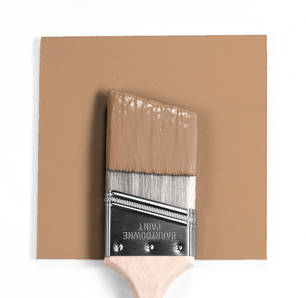 Benjamin Moore Colour CC-302 Rawhide wet, dry colour sample.