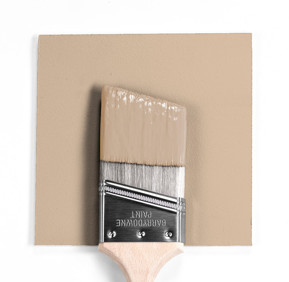 Benjamin Moore Colour CC-320 Bar Harbour Beige wet, dry colour sample.