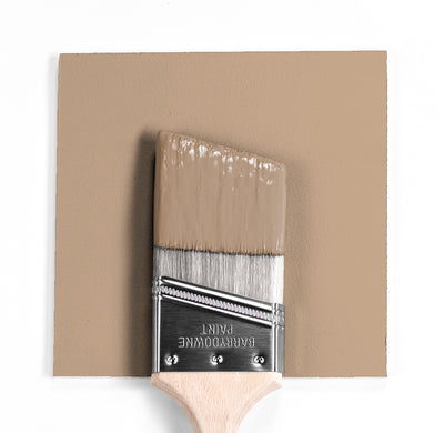 Benjamin Moore Colour CC-330 Hillsborough Beige wet, dry colour sample.