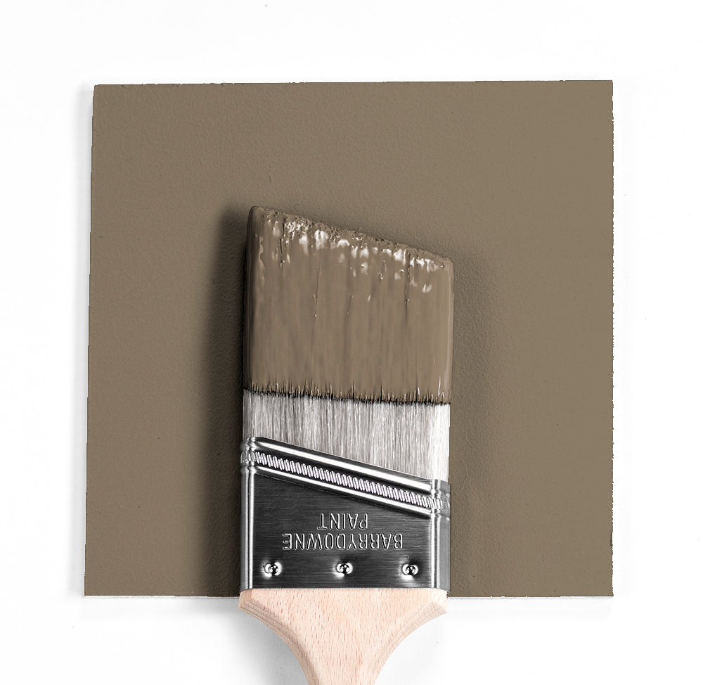 Benjamin Moore Colour CC-540 Stampede wet, dry colour sample.