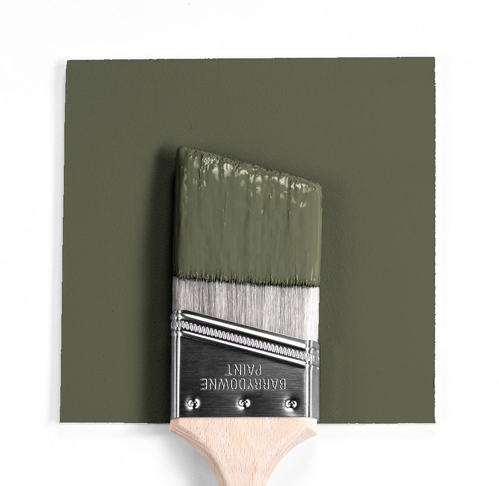 Benjamin Moore Colour CC-570 Forest Floor wet, dry colour sample.