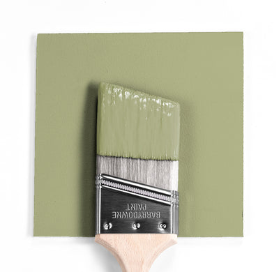 Benjamin Moore Colour CC-590 Grasslands wet, dry colour sample.