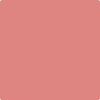 CSP-1175 Pink Flamingo