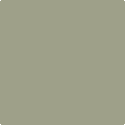Benjamin Moore Colour HC-113 Louisburg Green wet, dry colour sample.