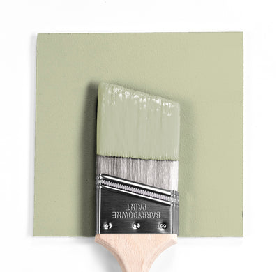 Benjamin Moore Colour HC-116 Guildford Green wet, dry colour sample.