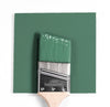 Benjamin Moore Colour HC-130 Webster Green wet, dry colour sample.