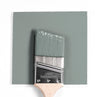 Benjamin Moore Colour HC-164 Puritan Gray wet, dry colour sample.