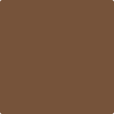 Benjamin Moore Colour Hc-186 Charleston Brown wet, dry colour sample.