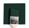 Benjamin Moore Colour HC-188 Essex Green wet, dry colour sample.