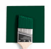 Benjamin Moore Colour HC-189 Chrome Green wet, dry colour sample.
