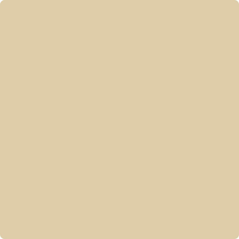 Benjamin Moore Colour HC-24 Pittsfield Buff wet, dry colour sample.