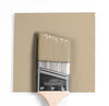 Benjamin Moore Colour HC-82 Bennington Tan wet, dry colour sample.