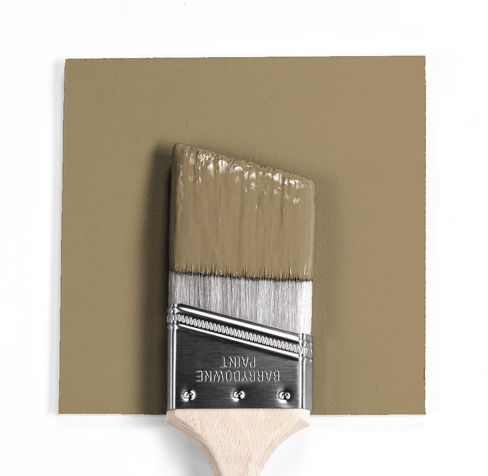 Benjamin Moore Colour HC-20 Woodstock Tan wet, dry colour sample.