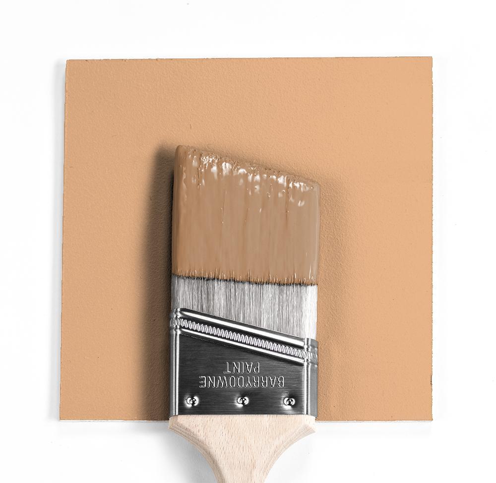 Benjamin Moore Colour HC-52 Ansonia Peach wet, dry colour sample.