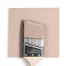 Benjamin Moore Colour HC-59 Odessa Pink wet, dry colour sample.