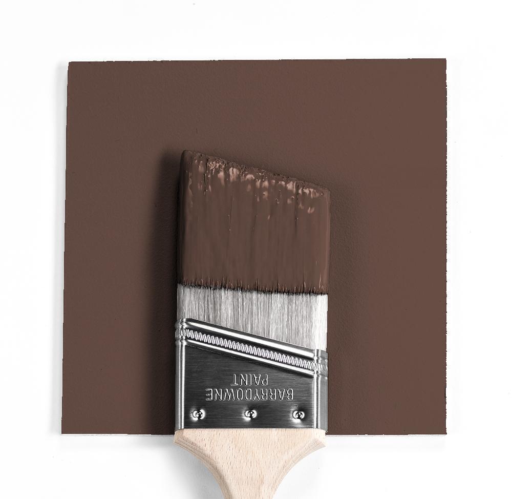 Benjamin Moore Colour HC-71 Hasbrouck Brown wet, dry colour sample.