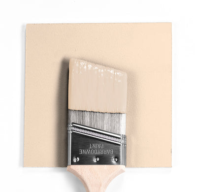 Benjamin Moore Colour OC-79 Old Fashioned Peach wet, dry colour sample.